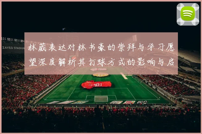 林葳表达对林书豪的崇拜与学习愿望深度解析其打球方式的影响与启发